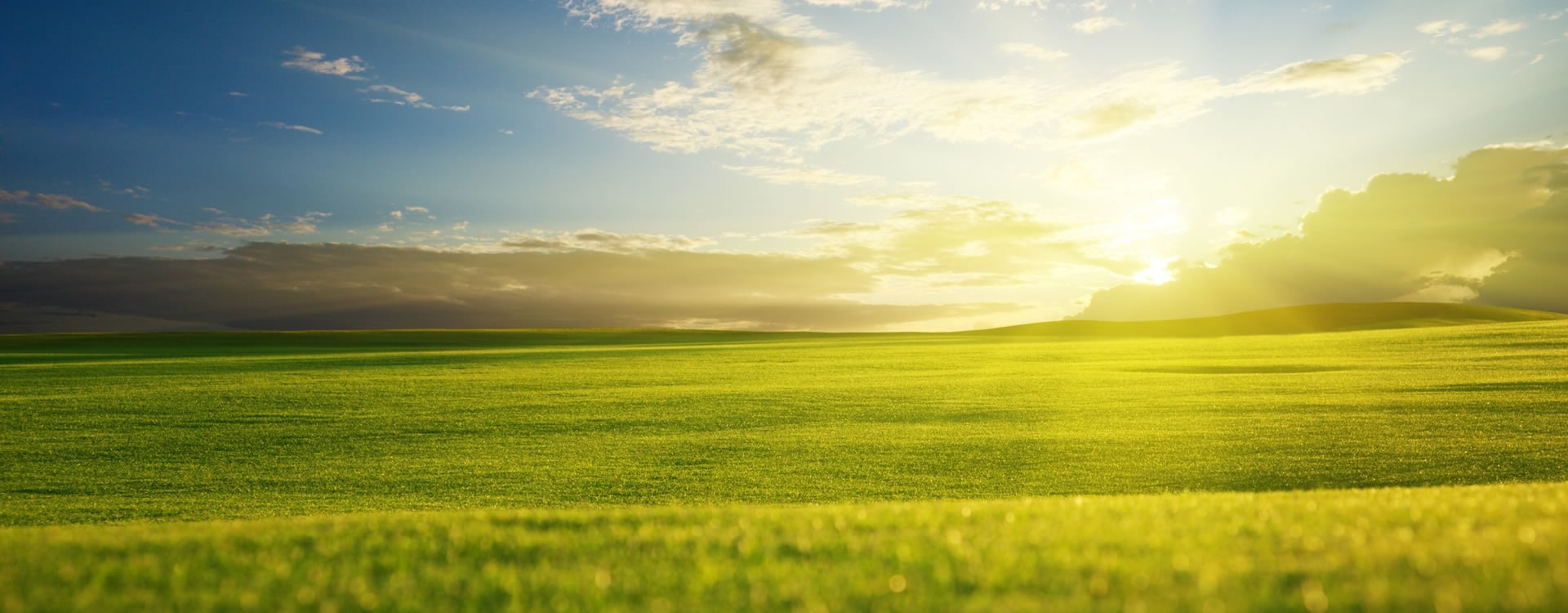 Productos y Servicios Ambientales